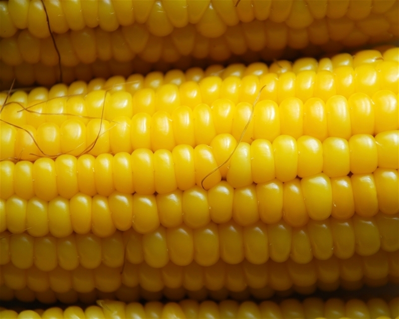 SkilletCooked Sweet Corn and Lima Beans Lidia