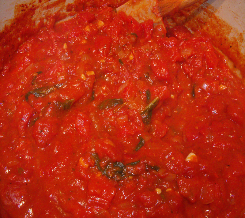 Tomato Sauce Lidia